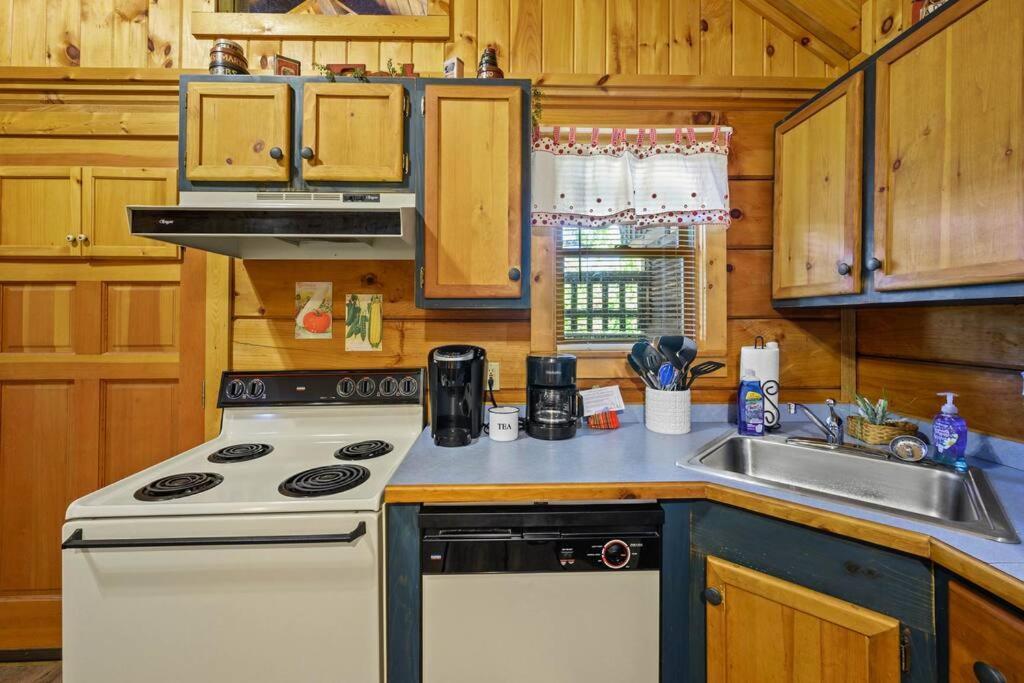 Do Not Disturb - Pigeon Forge Smoky Mountain Studio Cabin, Hot Tub, Fireplace Exteriör bild